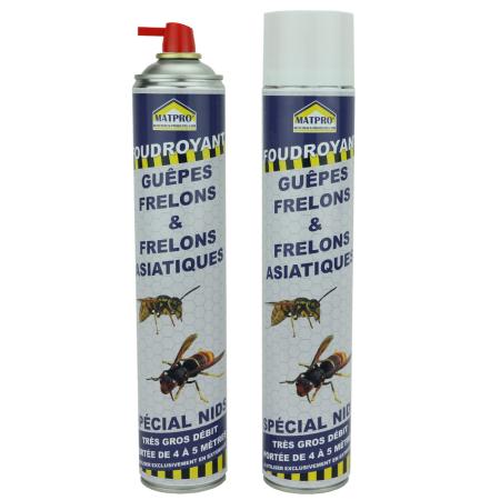 insecticide special frelons frelons asiatiques et guepes