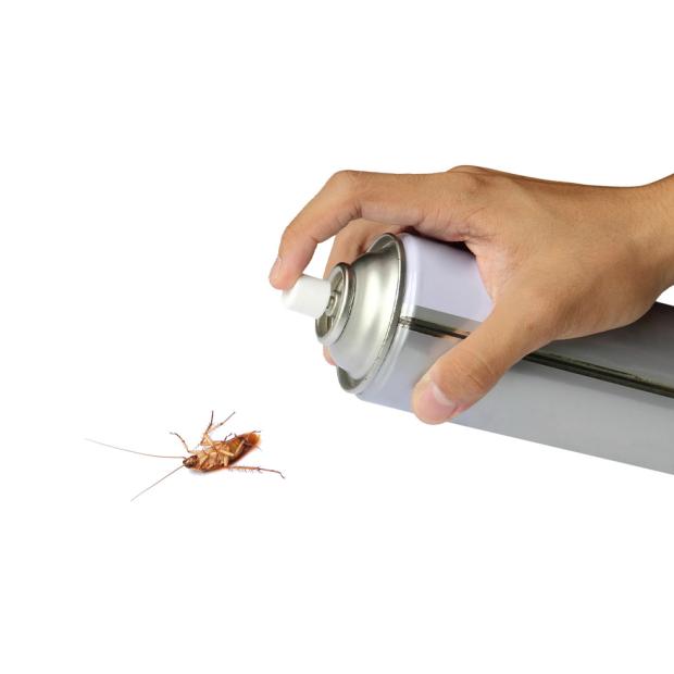 Insecticide rampants foumis blattes cafards araignées punaises et puces