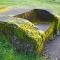 destruction bactericide mousses algues lichens sur murs pierres béton