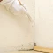 traitement preventif et curatif pour des murs humides avec des moisissures